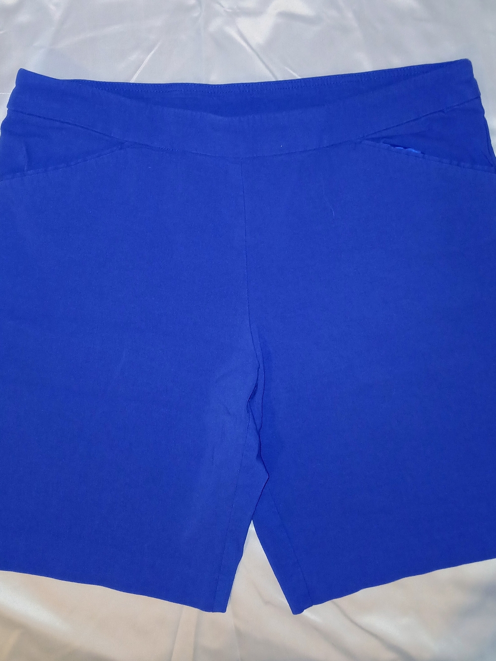 Time and Tru Vibrant Blue Bike Shorts